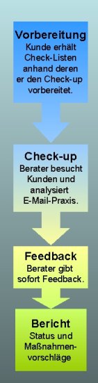 Ablauf E-Mail-Audit